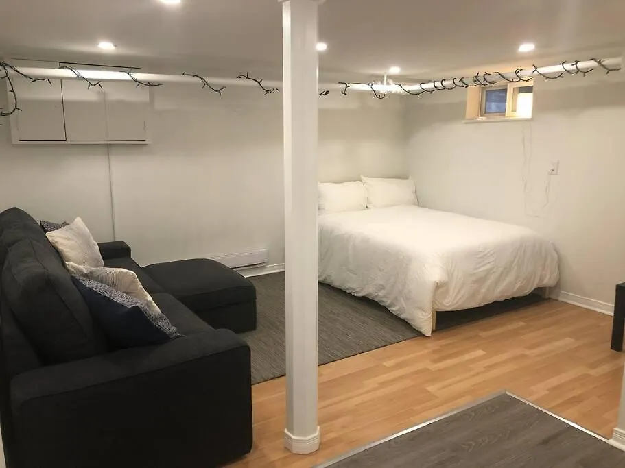 Apartment Entire Suite: Private Basement Studio Apartment! Toronto Canada
