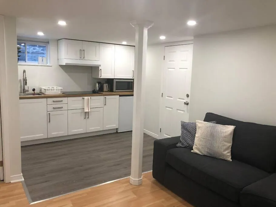 Entire Suite: Private Basement Studio Apartment! Toronto 0*,